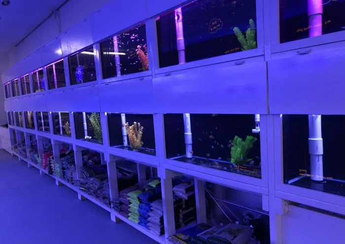 Reef Lounge Norco Picture 2