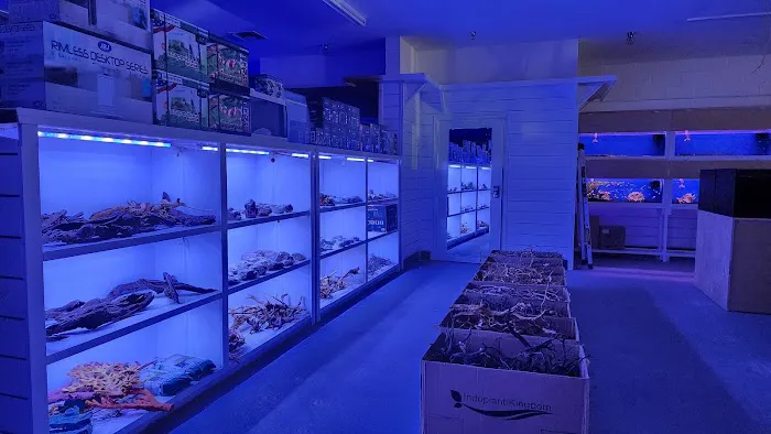 Reef Lounge Norco Picture 9