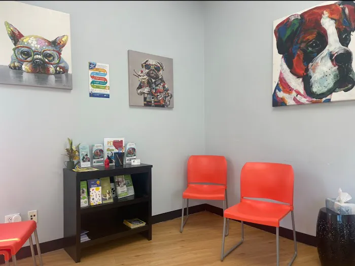 United Veterinary Center Norwalk Picture 3