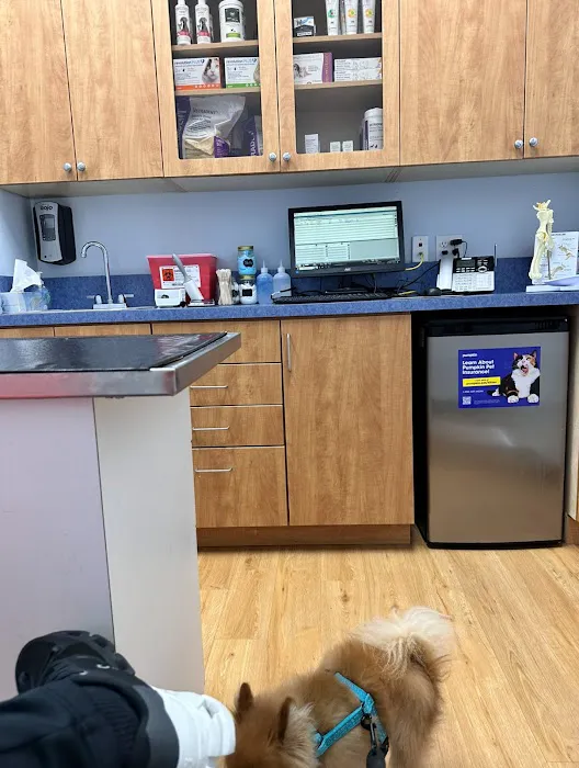 United Veterinary Center Norwalk Picture 4