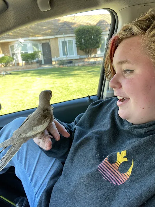 Brian's Exotic Birds Picture 8
