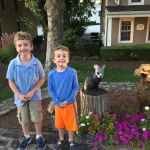 Winslow Park Animal Hospital
