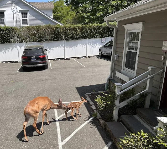 Winslow Park Animal Hospital Picture 8