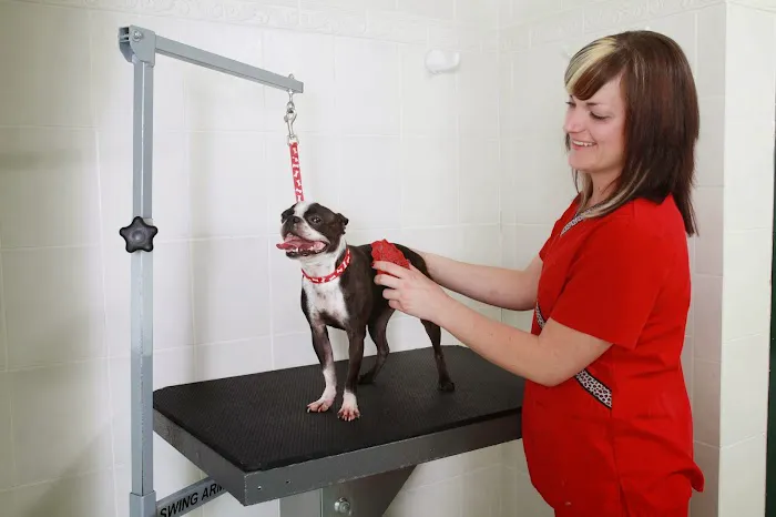 Schulhof Animal Hospital, LLC Picture 3