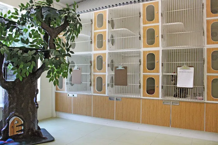 Schulhof Animal Hospital, LLC Picture 2