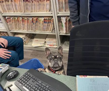 Schulhof Animal Hospital, LLC