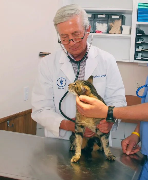 Schulhof Animal Hospital, LLC Picture 6