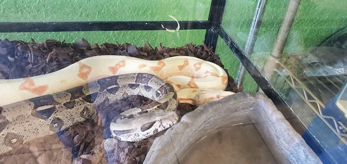 Corona Reptiles & Kritters Picture 1