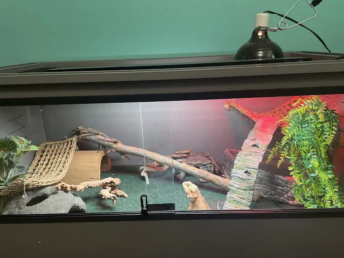 Corona Reptiles & Kritters Picture 6