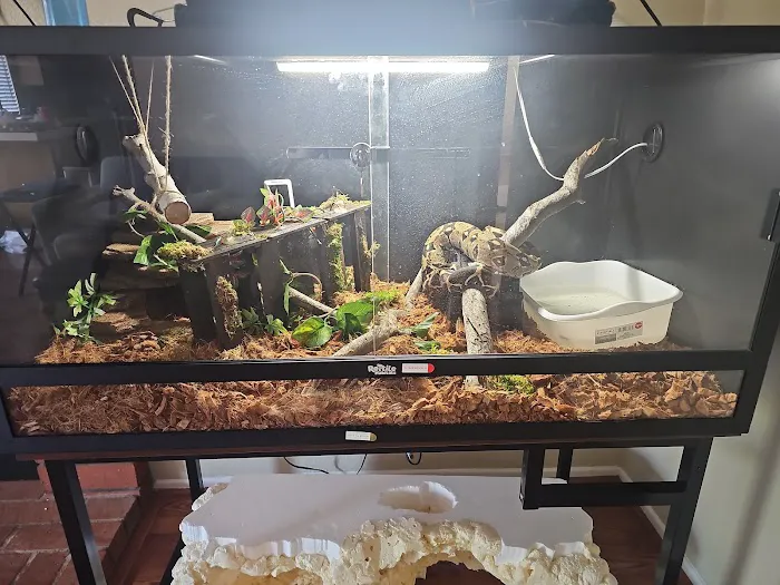Corona Reptiles & Kritters Picture 5