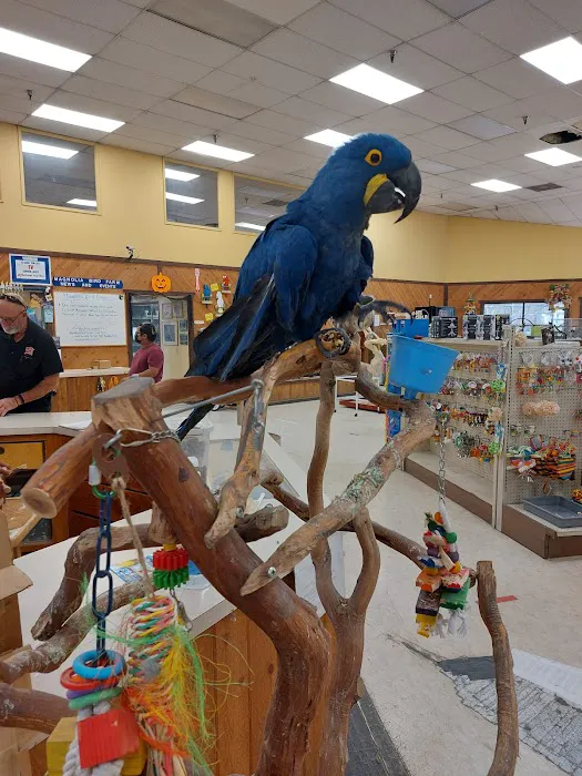 Magnolia Bird Farm Picture 10