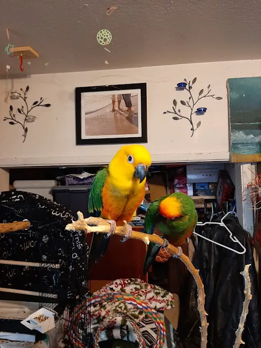Magnolia Bird Farm Picture 5