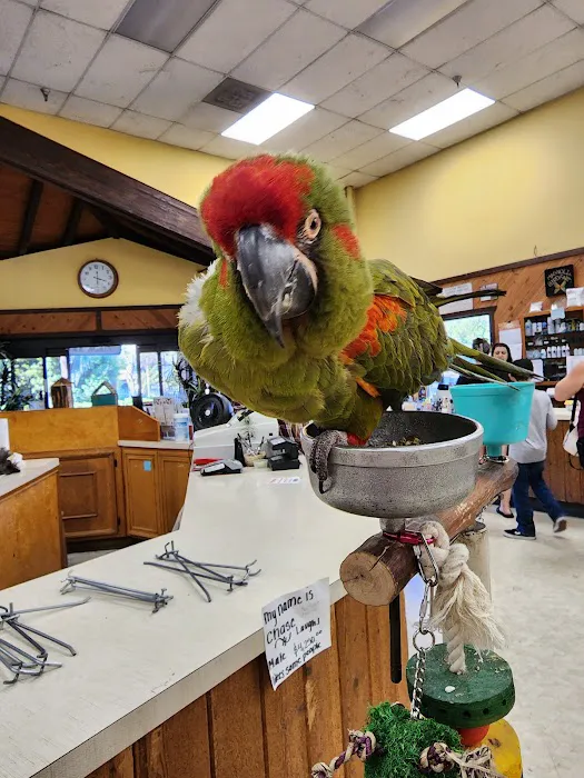 Magnolia Bird Farm Picture 3