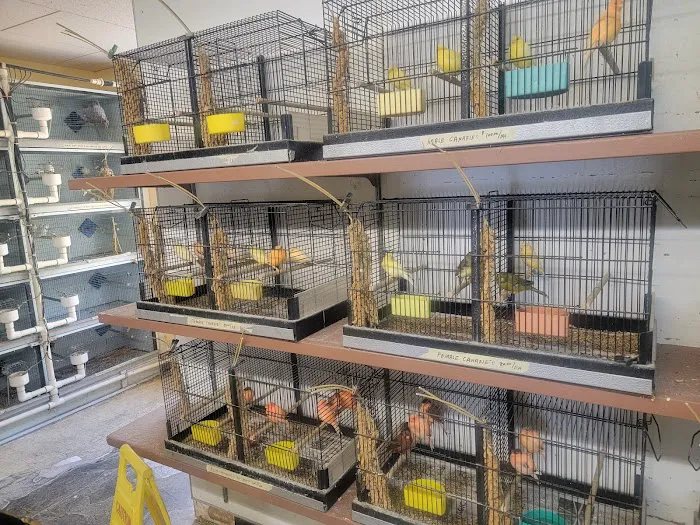 Magnolia Bird Farm Picture 6