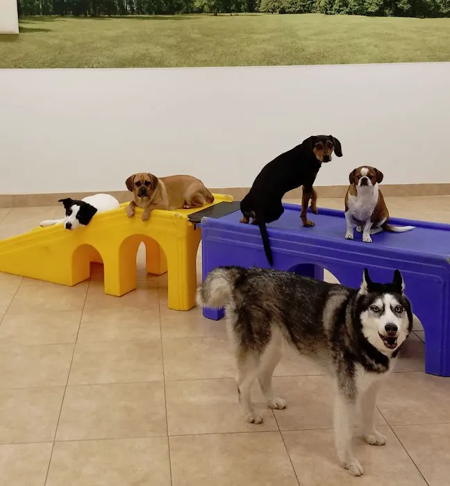 Stamford Veterinary Center Picture 2