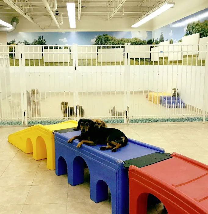 Stamford Veterinary Center Picture 8