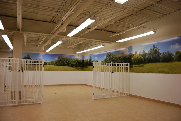 Stamford Veterinary Center Picture 4