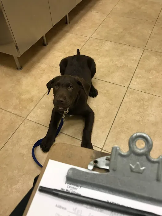 Stamford Veterinary Center Picture 3