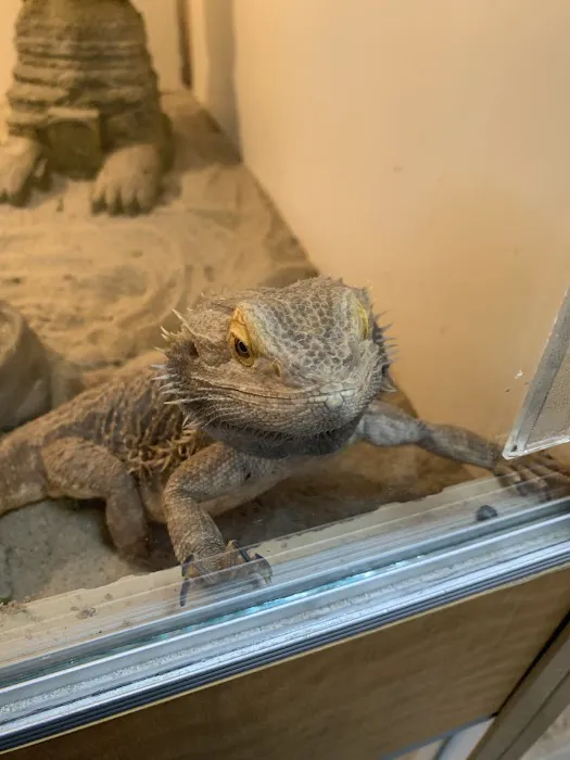 The Reptile Shop Picture 10