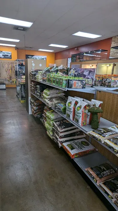 The Reptile Shop Picture 7