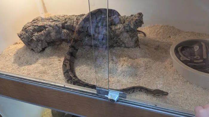 The Reptile Shop Picture 6