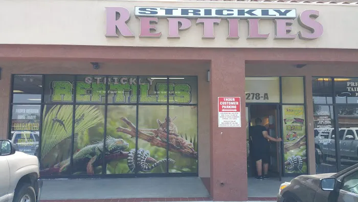 The Reptile Shop Picture 2