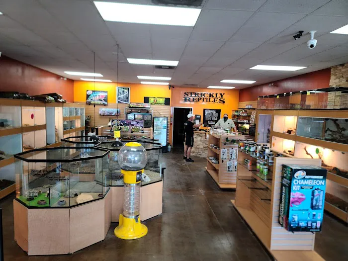 The Reptile Shop Picture 1