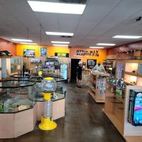 The Reptile Shop ico