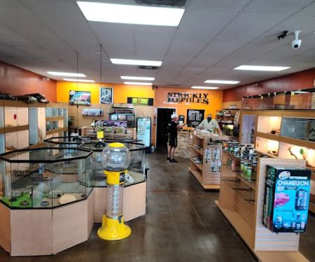 The Reptile Shop