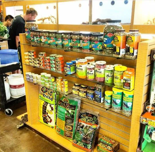 The Reptile Shop Picture 4