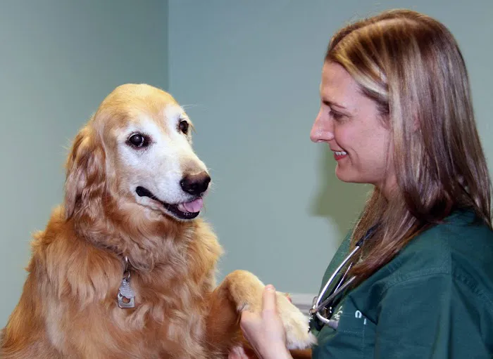 Park Animal Hospital Picture 9