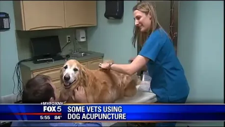 Park Animal Hospital Picture 3