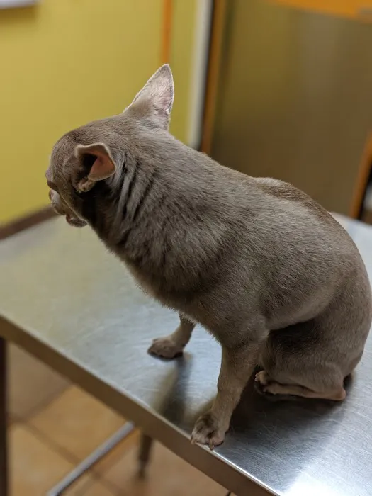 Banfield Pet Hospital Picture 1