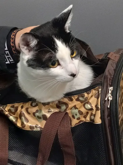 Banfield Pet Hospital Picture 7