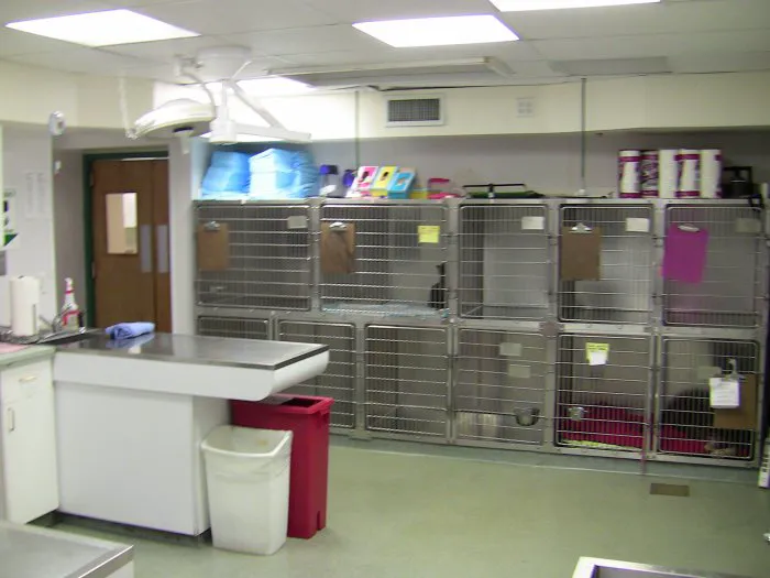 VCA Davis Animal Hospital Picture 1