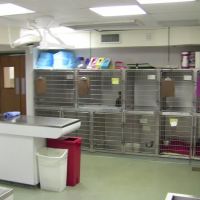 VCA Davis Animal Hospital ico
