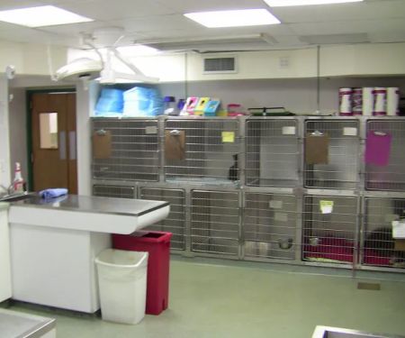VCA Davis Animal Hospital