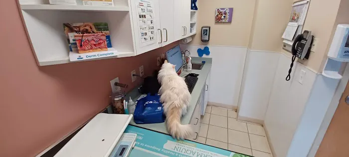 VCA Davis Animal Hospital Picture 9