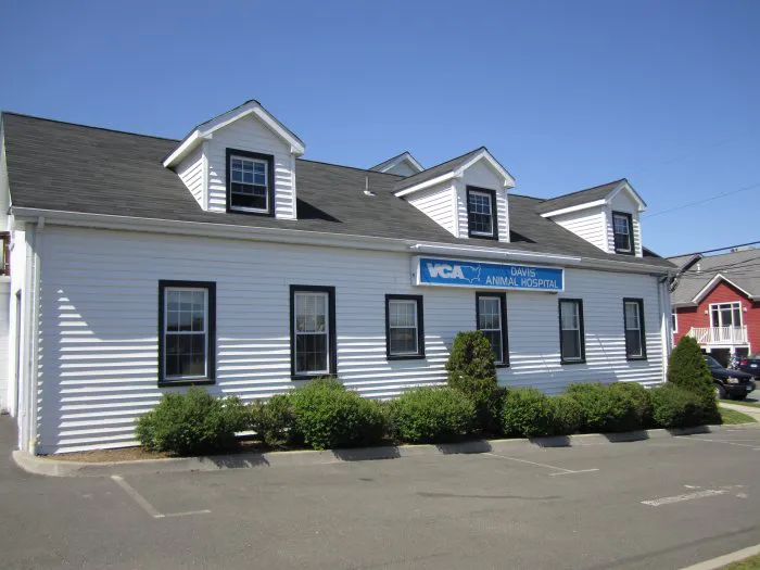 VCA Davis Animal Hospital Picture 7