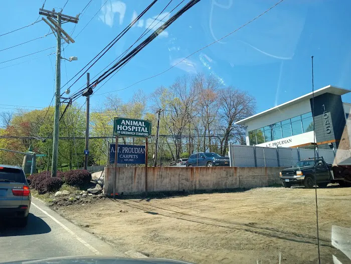 VCA Davis Animal Hospital Picture 10