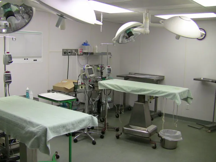 VCA Davis Animal Hospital Picture 2