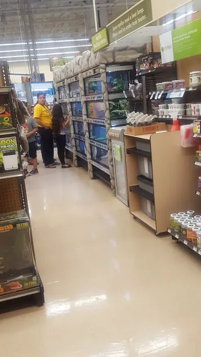 Petco Picture 8