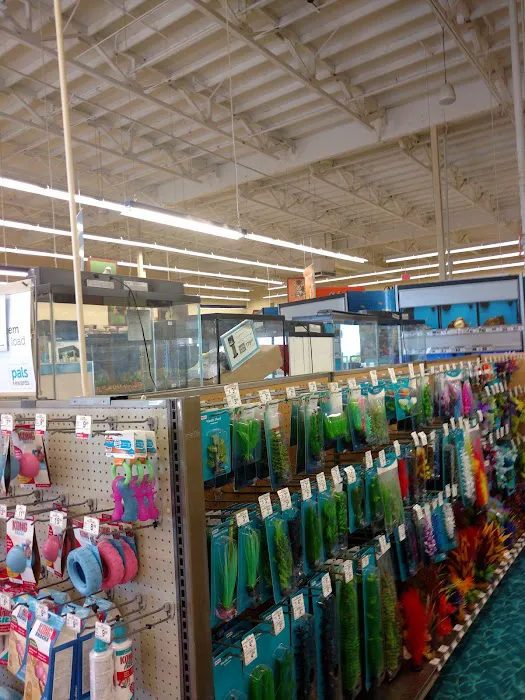 Petco Picture 5