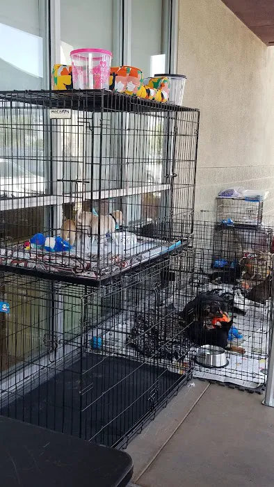 Petco Picture 3
