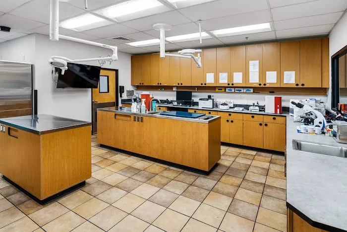 PetSmart Veterinary Services - Stamford Picture 6