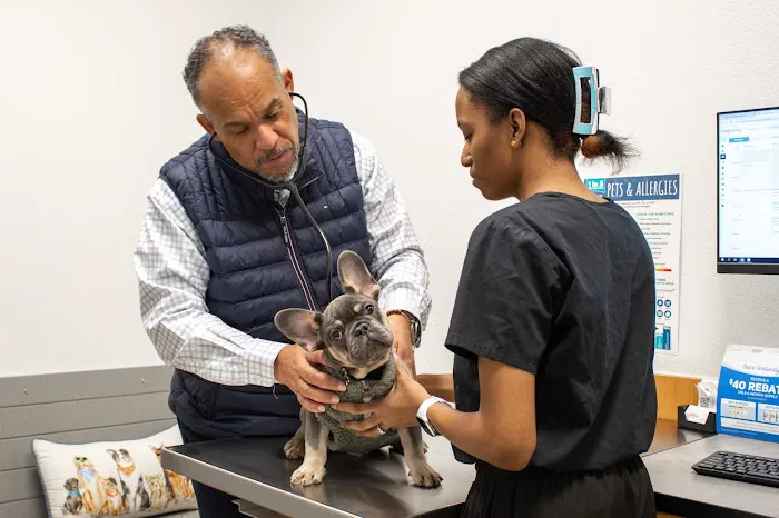 PetSmart Veterinary Services - Stamford Picture 9