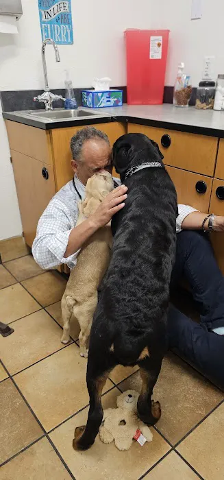 PetSmart Veterinary Services - Stamford Picture 8
