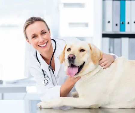 PetSmart Veterinary Services - Stamford