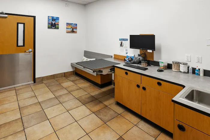 PetSmart Veterinary Services - Stamford Picture 3