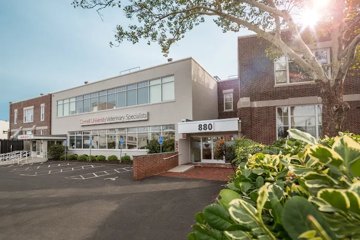 Cornell University Veterinary Specialists Picture 1